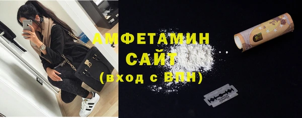 гидра Горняк