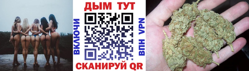 blacksprut ссылки  Губкин  Канабис AK-47  дарнет шоп 